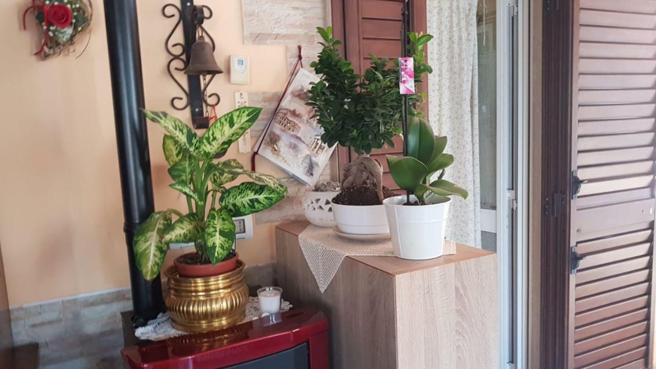 Bed And Breakfast Dolce Sorriso 폴리나노 아마레 외부 사진